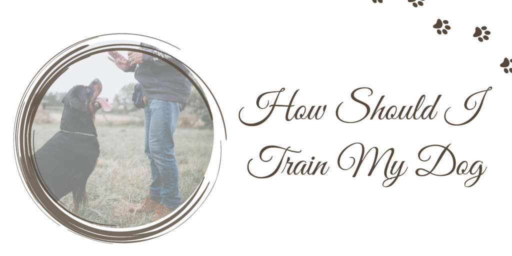train