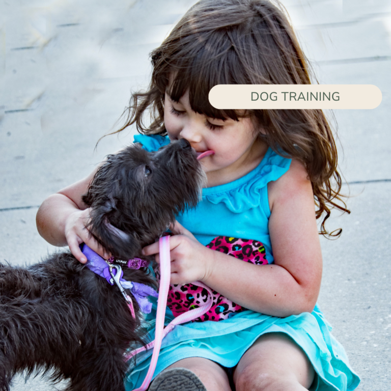 child dog