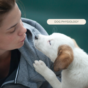 oxytocin boost