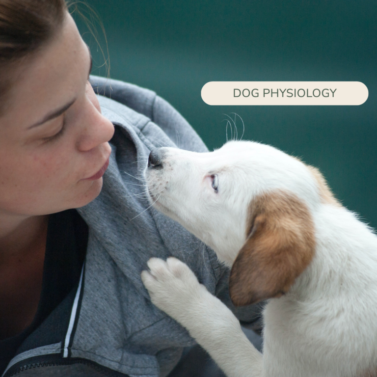 oxytocin boost