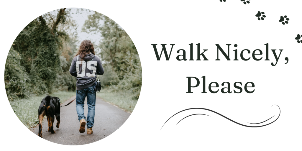 walk nicely