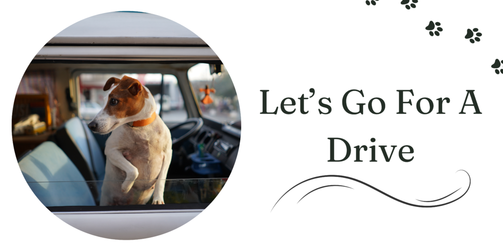 drive