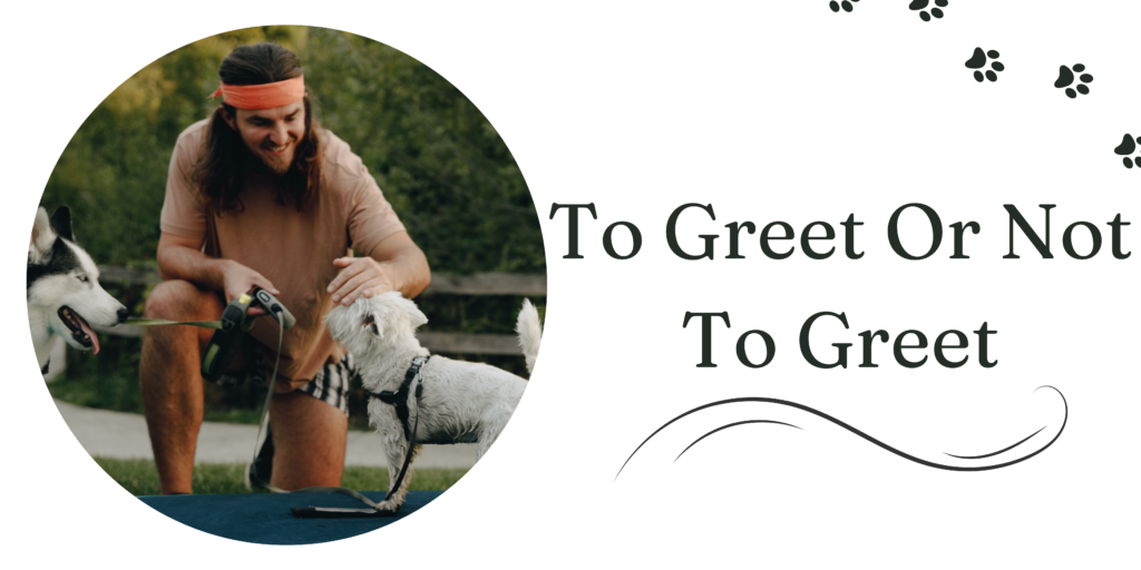 to greet or not to greet
