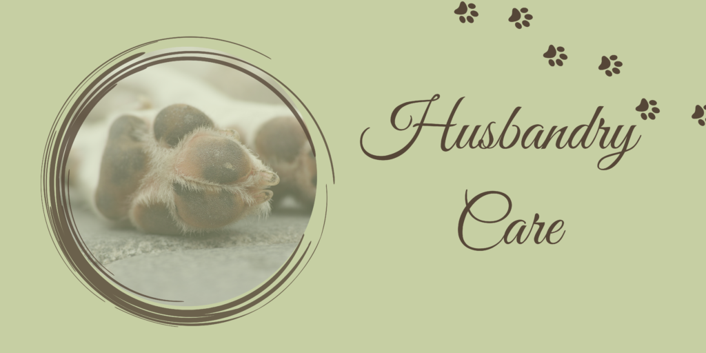 husbandry care