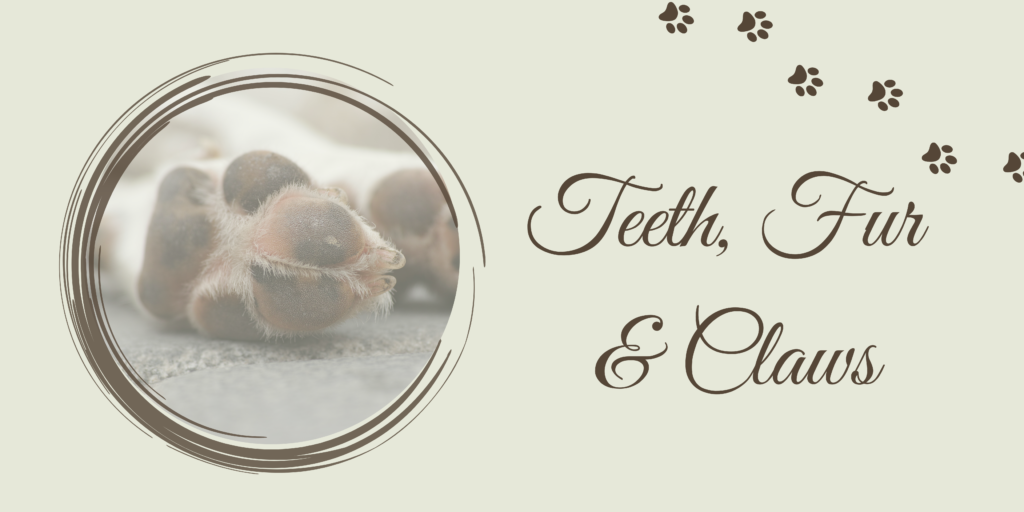 teeth