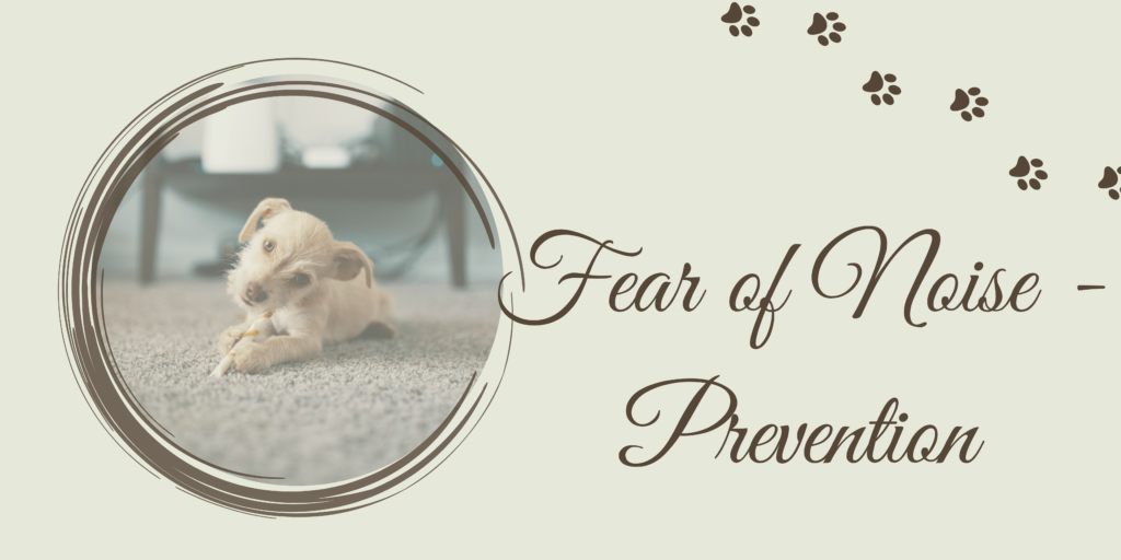 fear - prevention