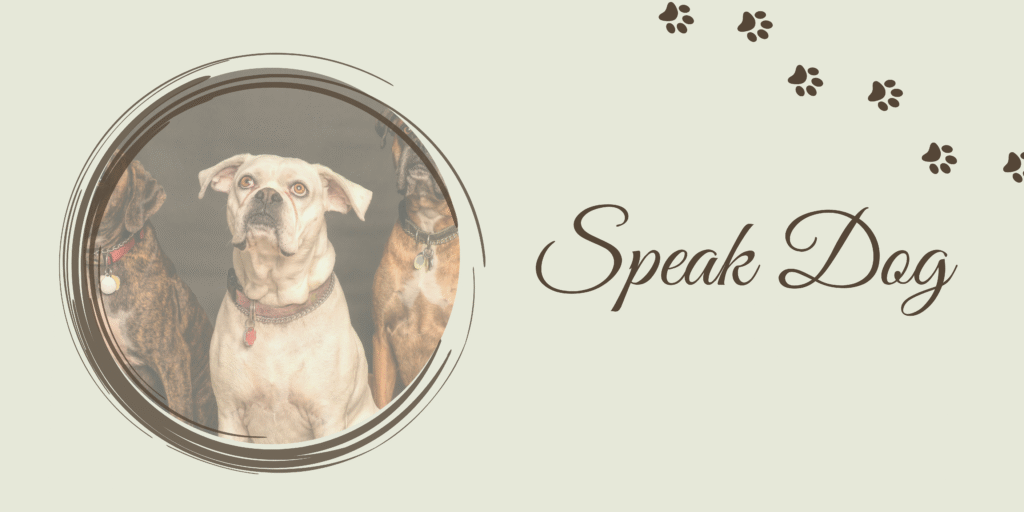 SPEAK
