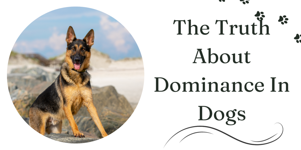 dominance