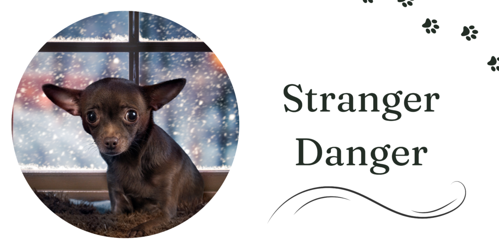 stranger danger
